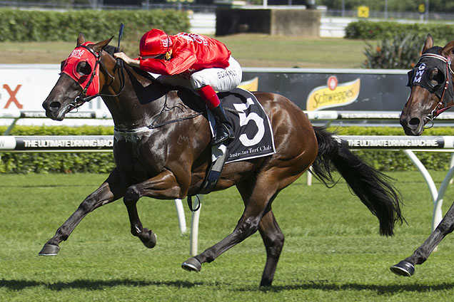 Redzel