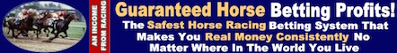 Horse Betting Racing System Banner