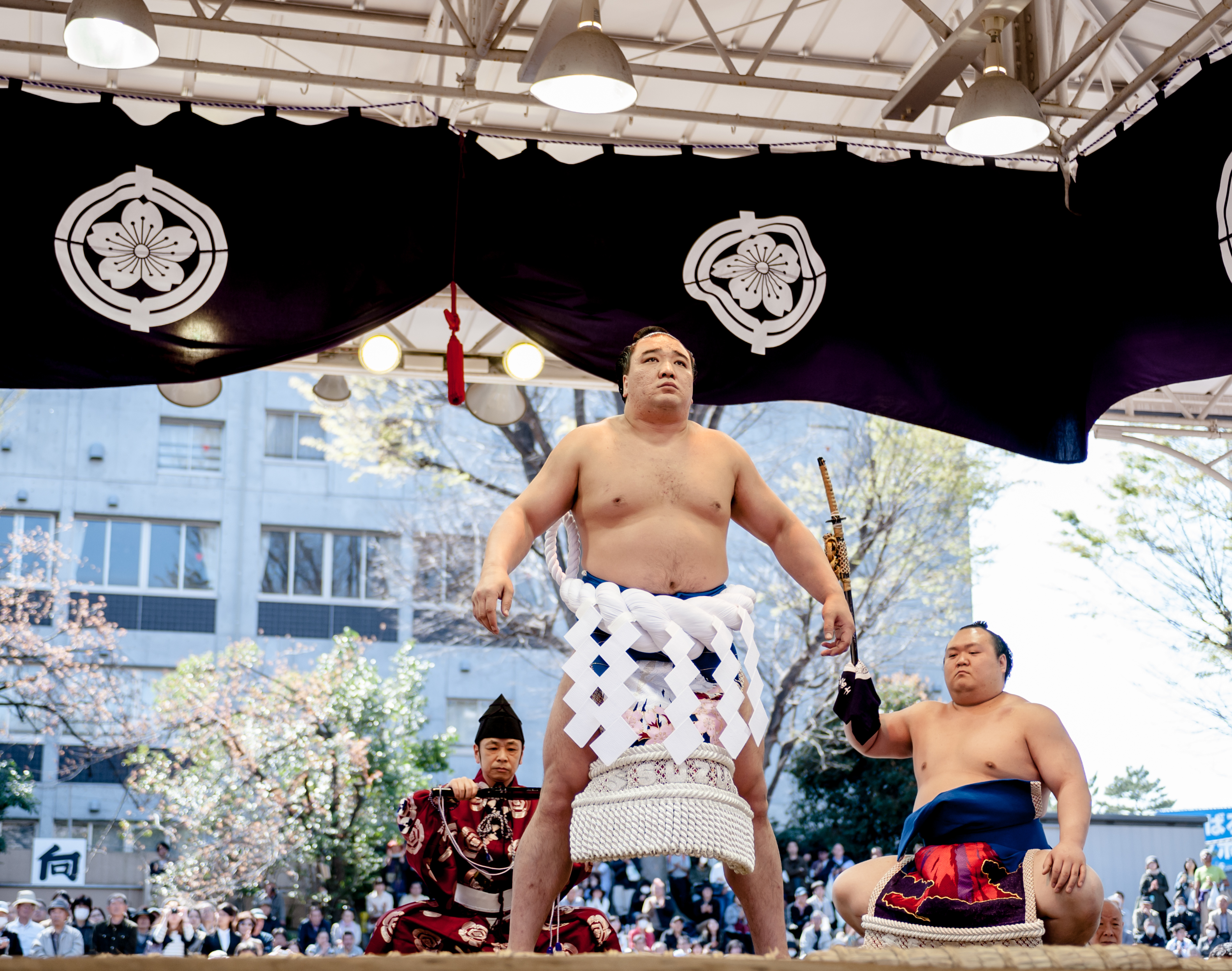 Harumafuji