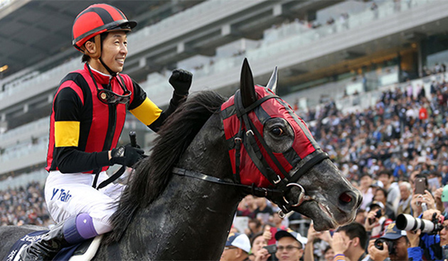 A Shin Hikari