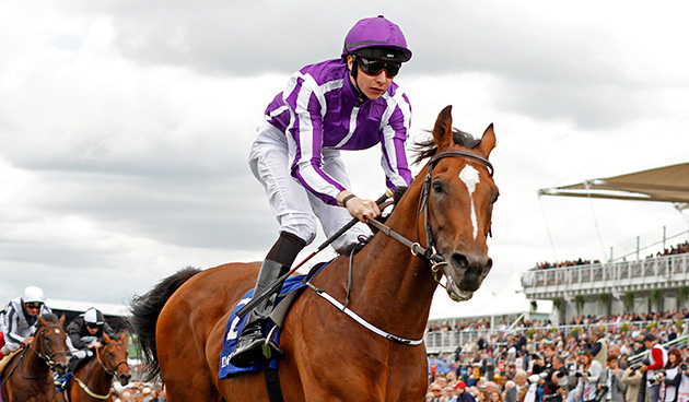 Highland Reel