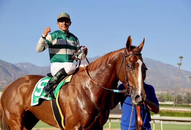 Stellar Wind