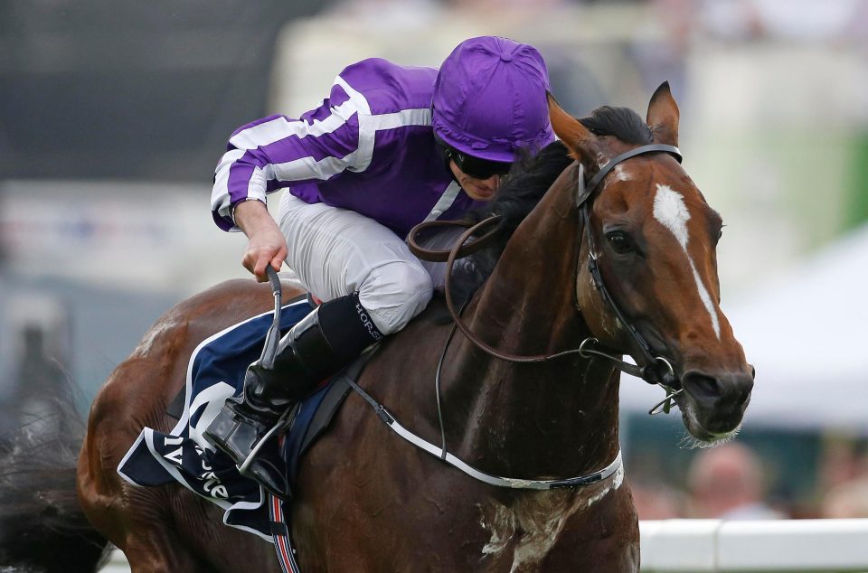 Highland Reel