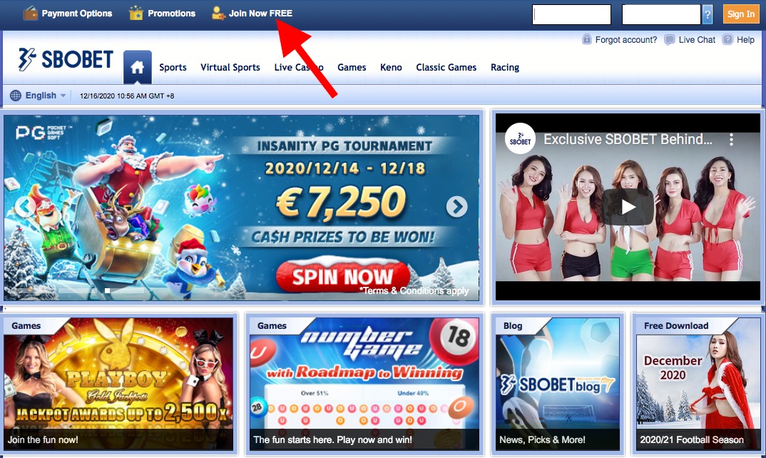 Analysing How Past Horse Racing Performances Can Affect Your Bet