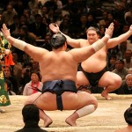 Sumo　Wrestlers