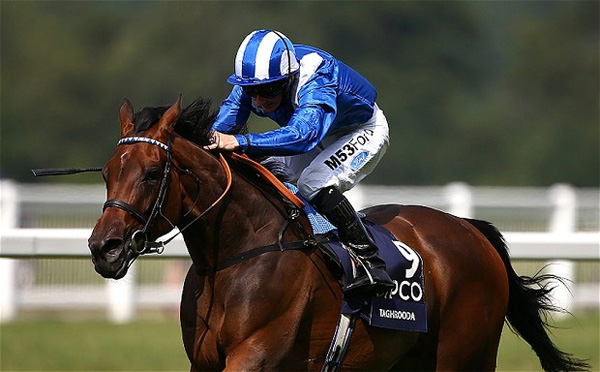 Taghrooda