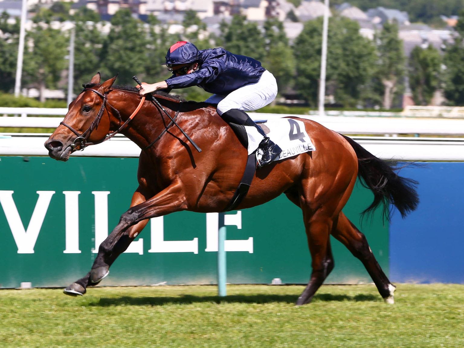 オンラインカジノ 必勝 オンラインカジノ 必勝